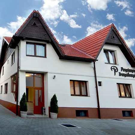 Pensiunea Transilvania Sibiu Buitenkant foto