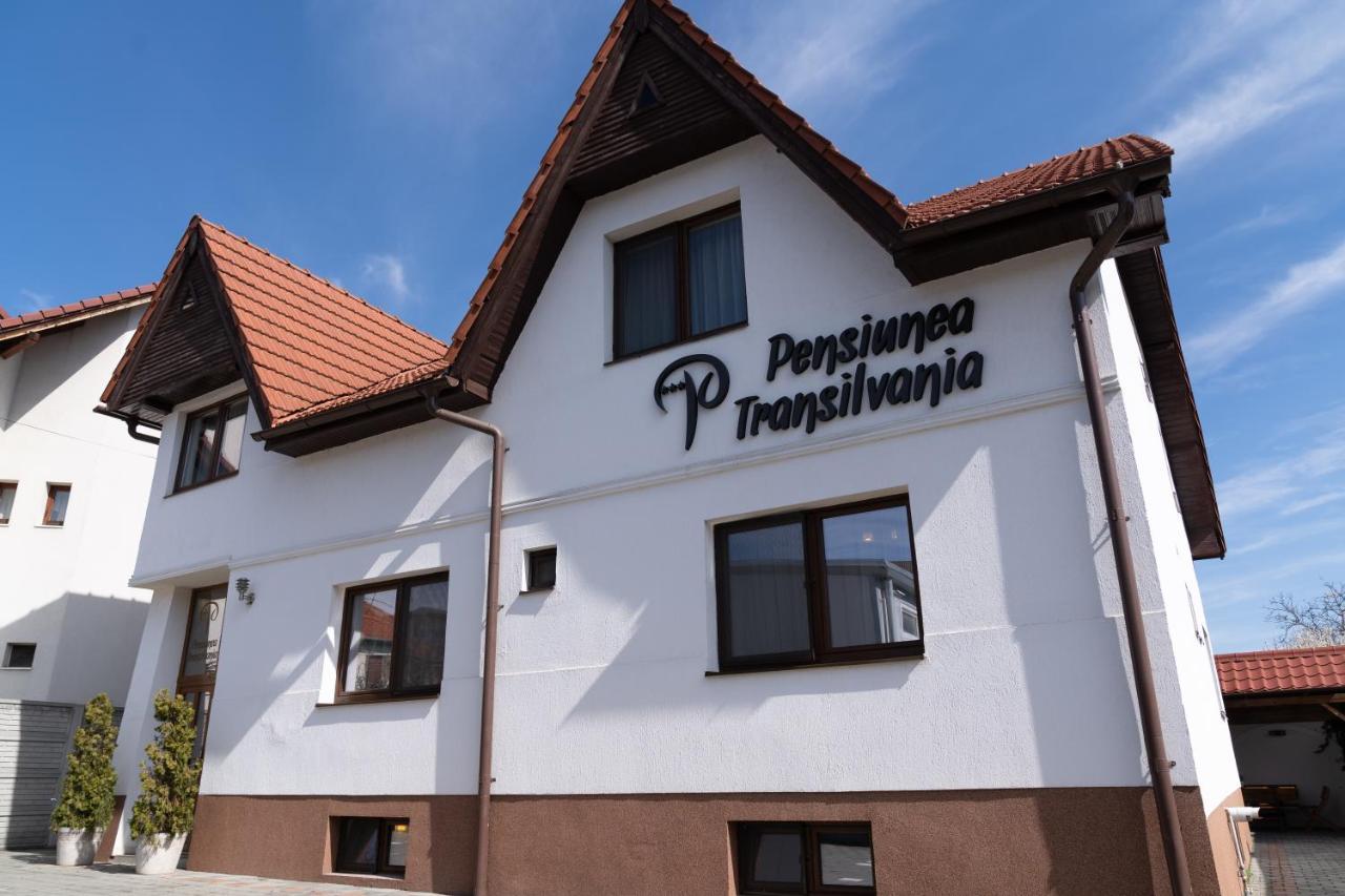 Pensiunea Transilvania Sibiu Buitenkant foto