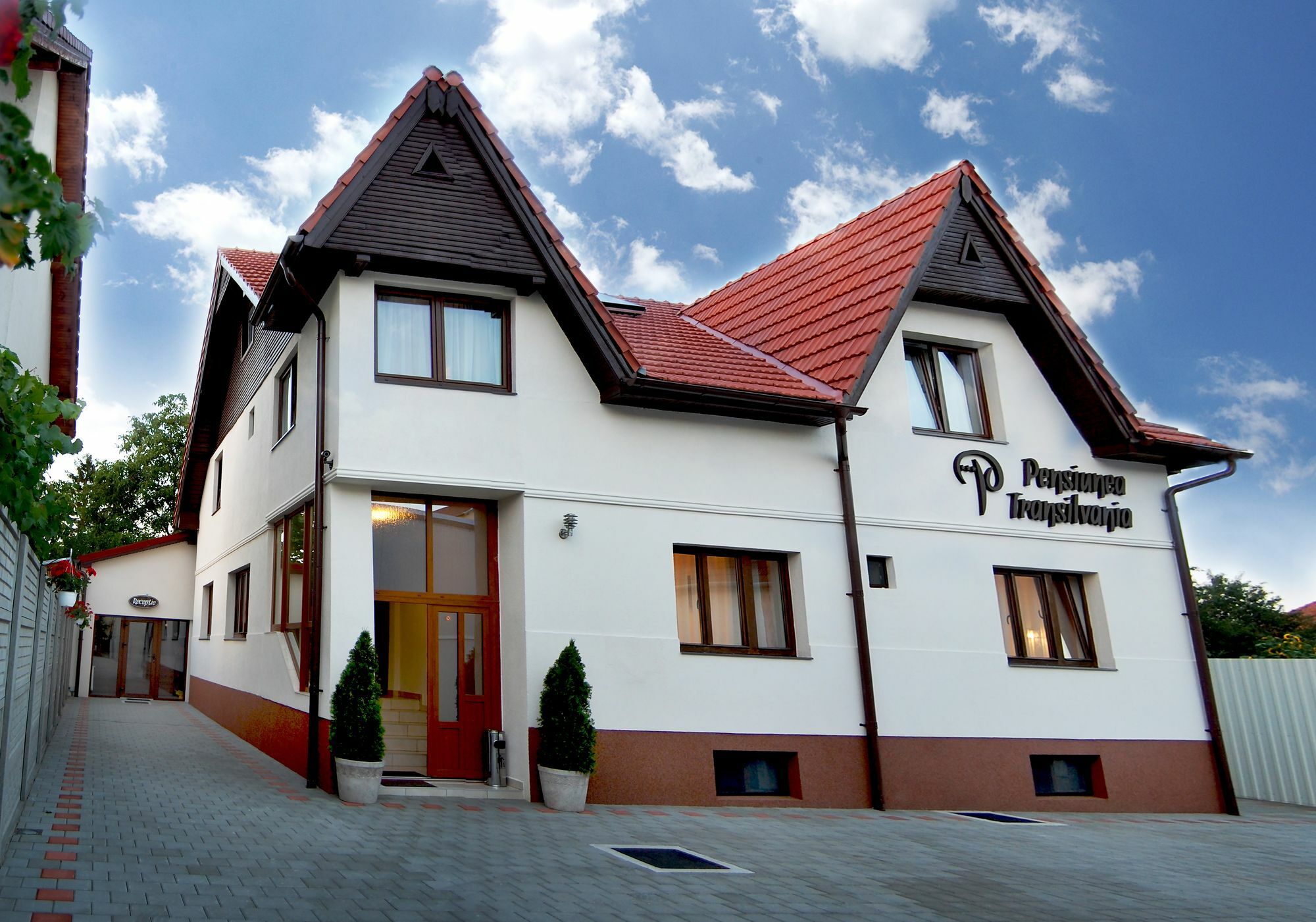 Pensiunea Transilvania Sibiu Buitenkant foto